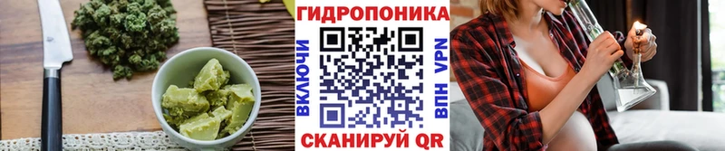 ОМГ ОМГ зеркало  Чёрмоз  Еда ТГК конопля  продажа наркотиков 