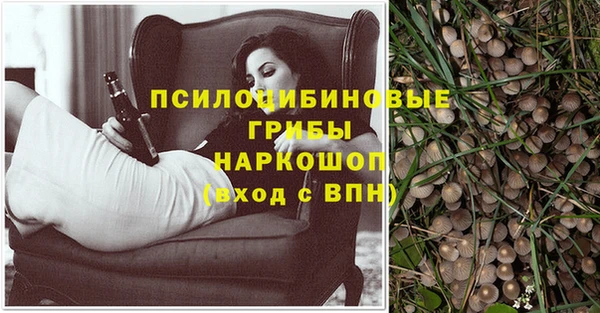 бошки Алексин