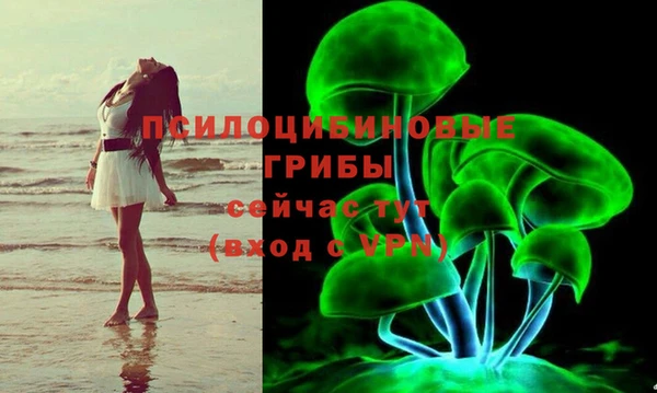 дживик Алексеевка