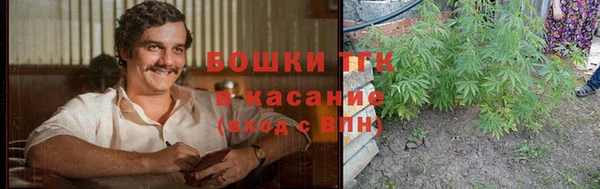 бошки Алексин