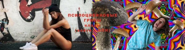 бошки Алексин