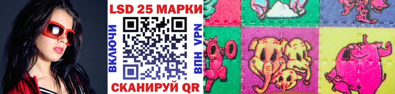 где купить наркоту  mega ссылки  Марки 25I-NBOMe 1500мкг  Чёрмоз 